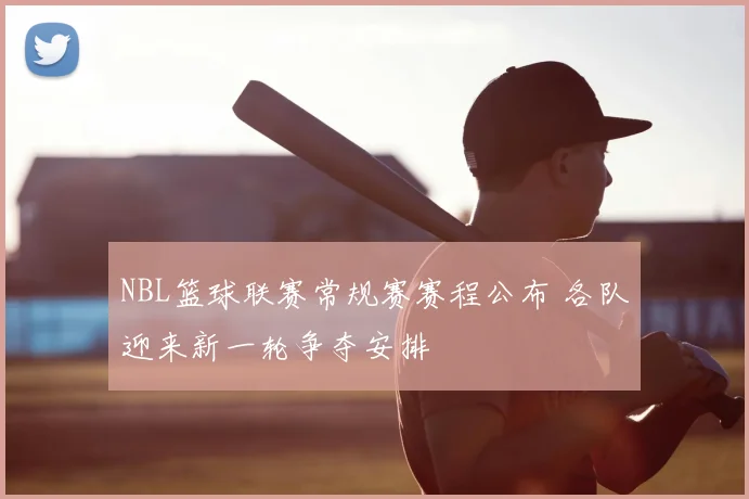 NBL篮球联赛常规赛赛程公布 各队迎来新一轮争夺安排