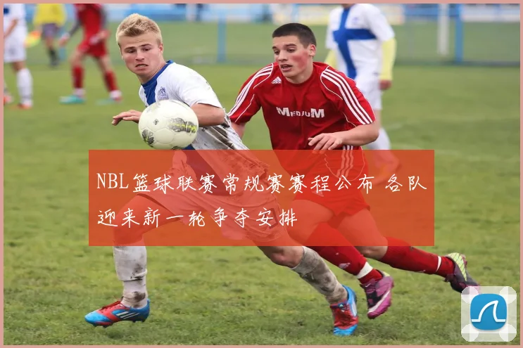 NBL篮球联赛常规赛赛程公布 各队迎来新一轮争夺安排