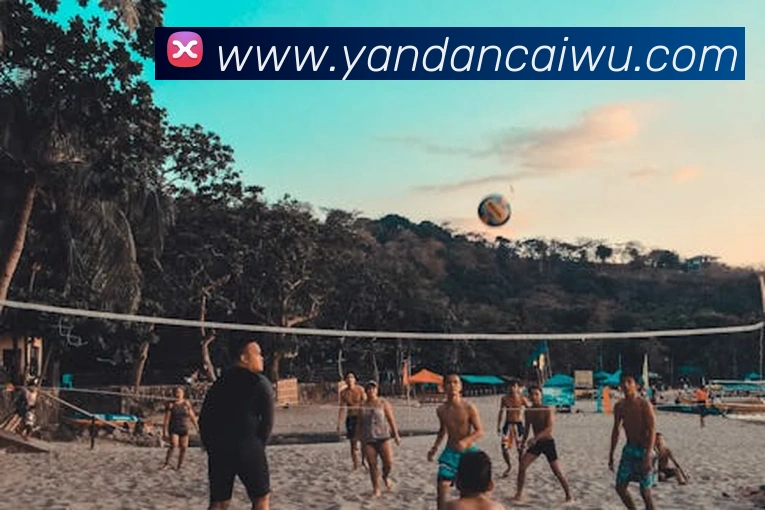 冠竞体育官网平台生态图